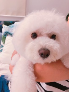 27B94D9D-63CC-4617-A5E5-866804FBFA7A